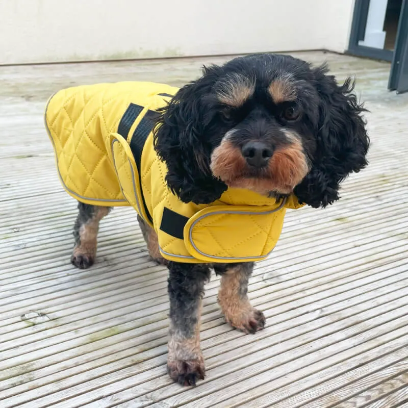 Happy Pet | Dog Coat | Teal Quilted Classic Design