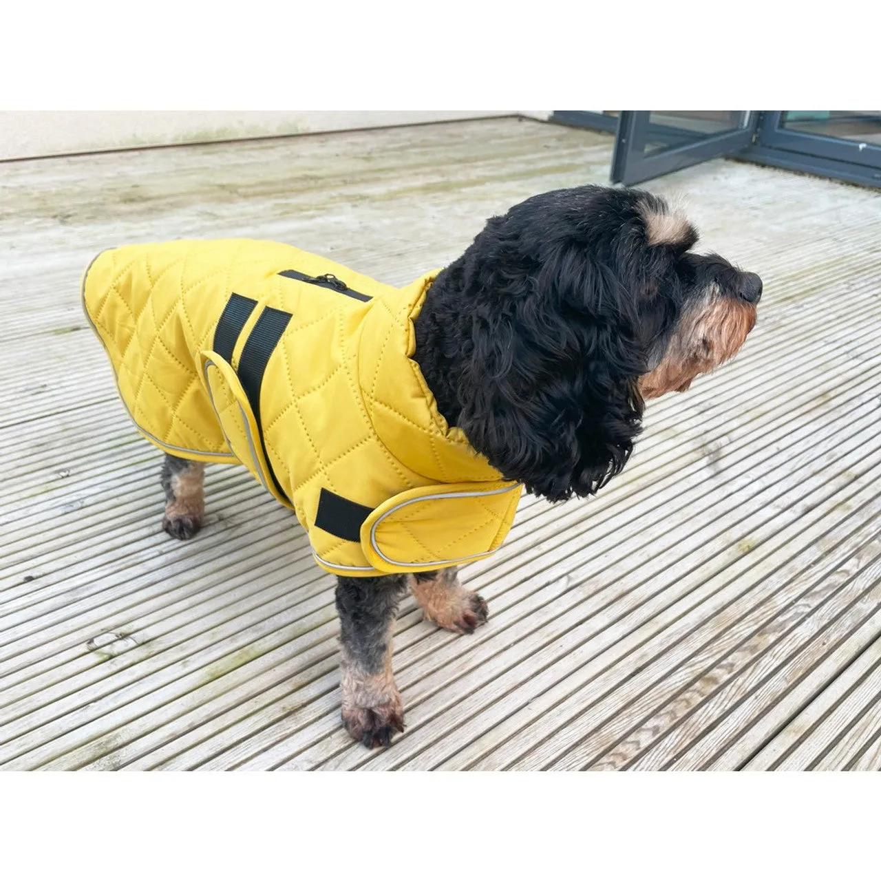 Happy Pet | Dog Coat | Teal Quilted Classic Design