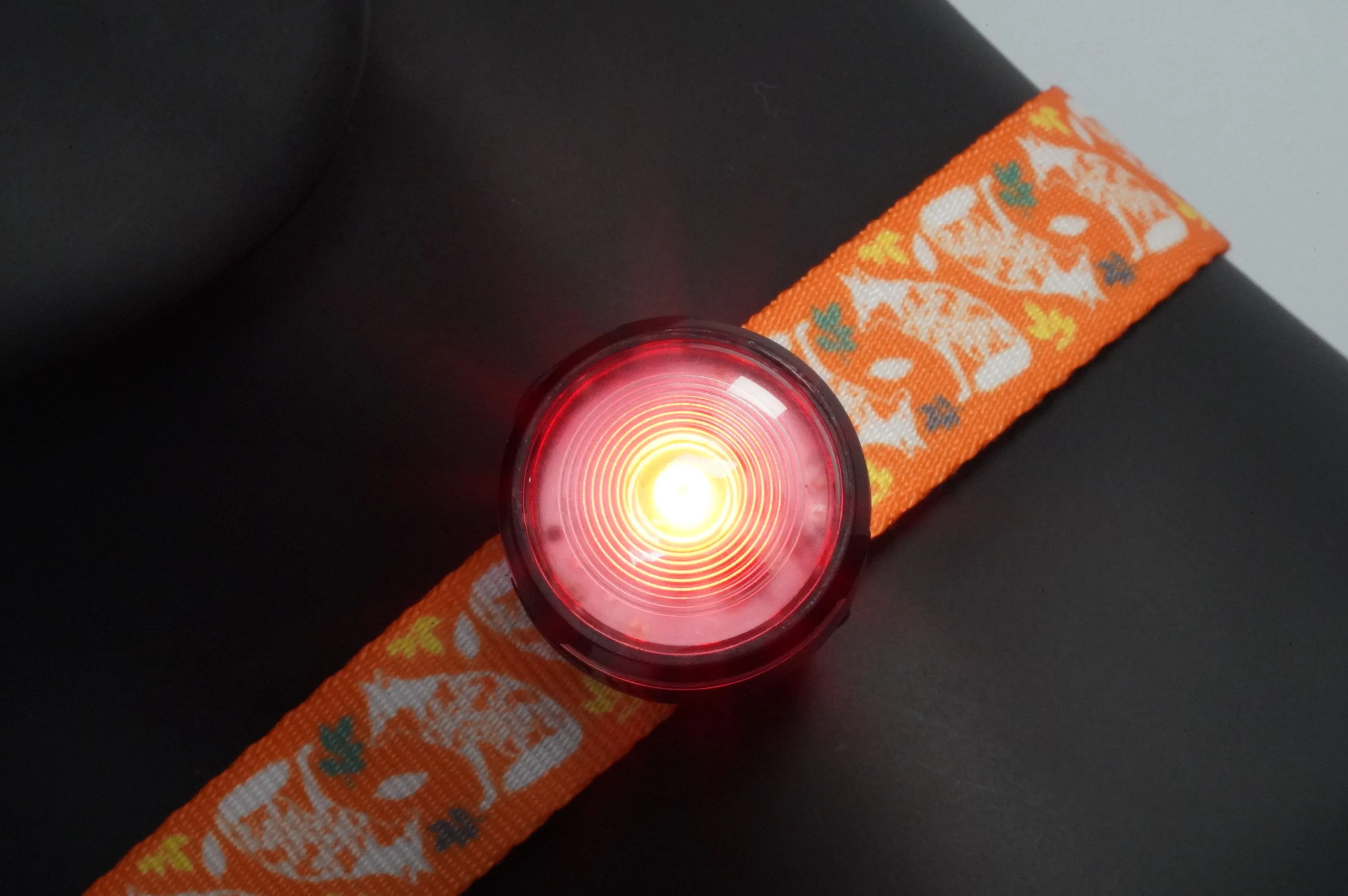 HoundHeadz - Halo Rechargeable Light *Black Friday Offer*