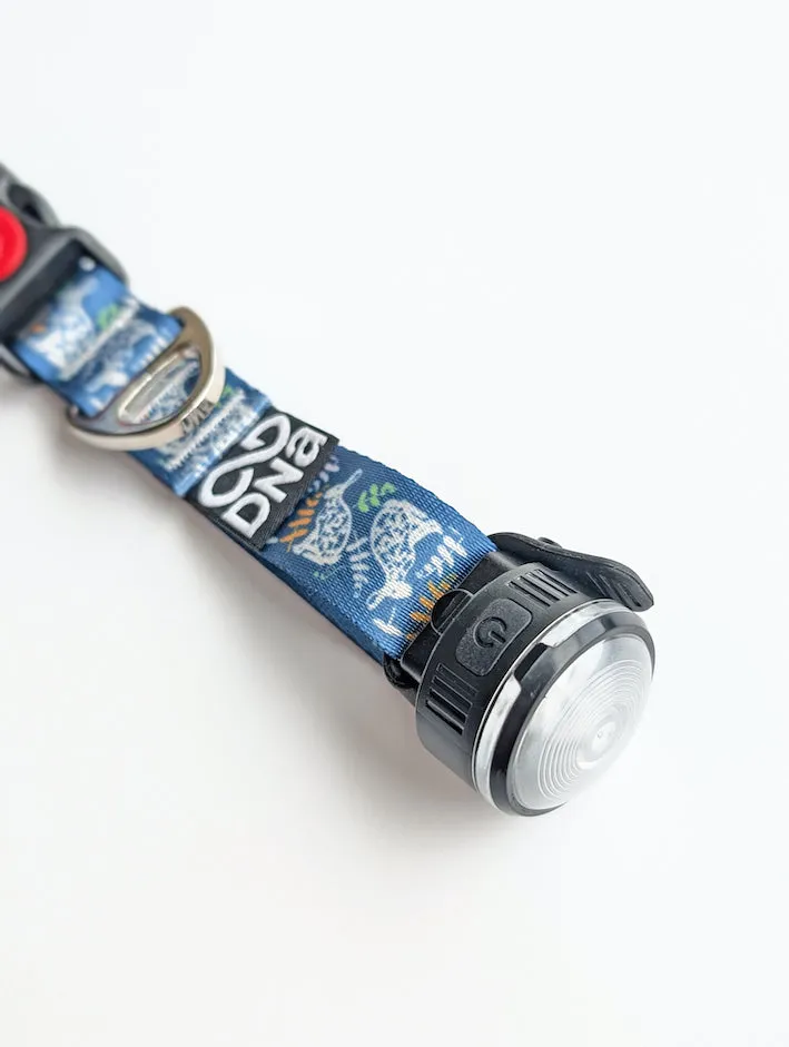 HoundHeadz - Halo Rechargeable Light *Black Friday Offer*