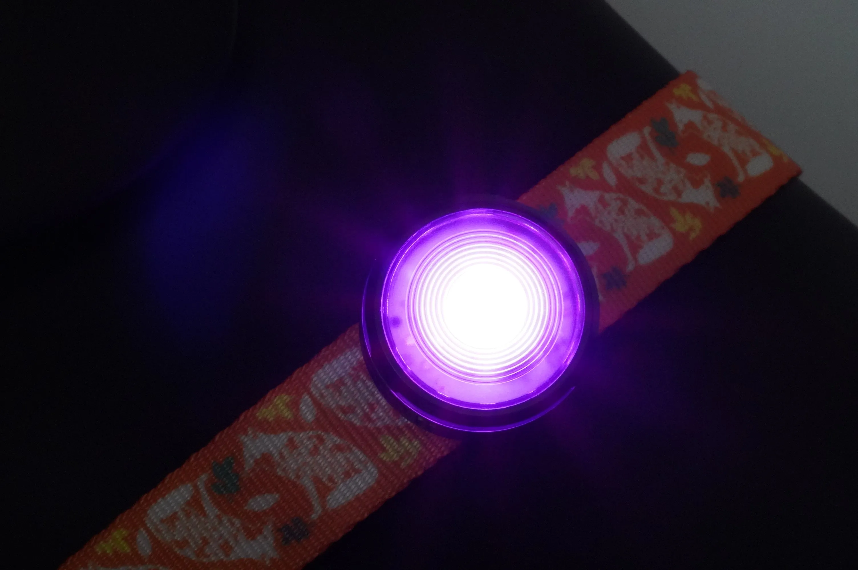 HoundHeadz - Halo Rechargeable Light *Black Friday Offer*