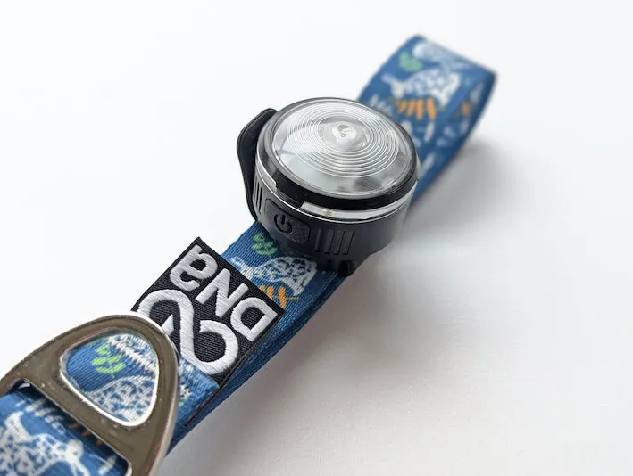 HoundHeadz - Halo Rechargeable Light *Black Friday Offer*