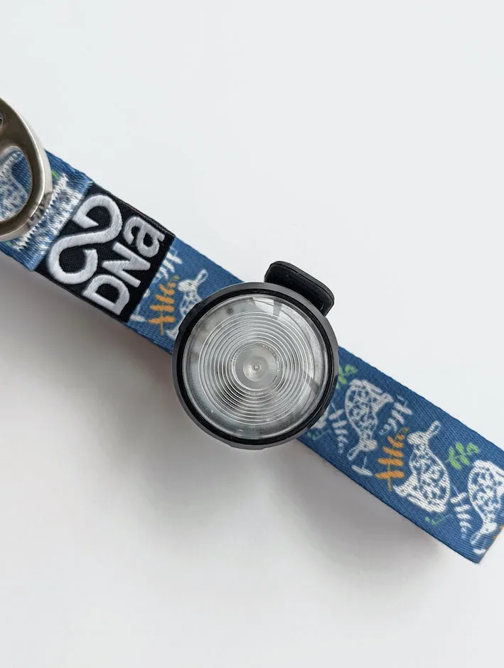 HoundHeadz - Halo Rechargeable Light *Black Friday Offer*