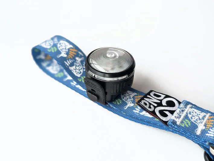 HoundHeadz - Halo Rechargeable Light *Black Friday Offer*
