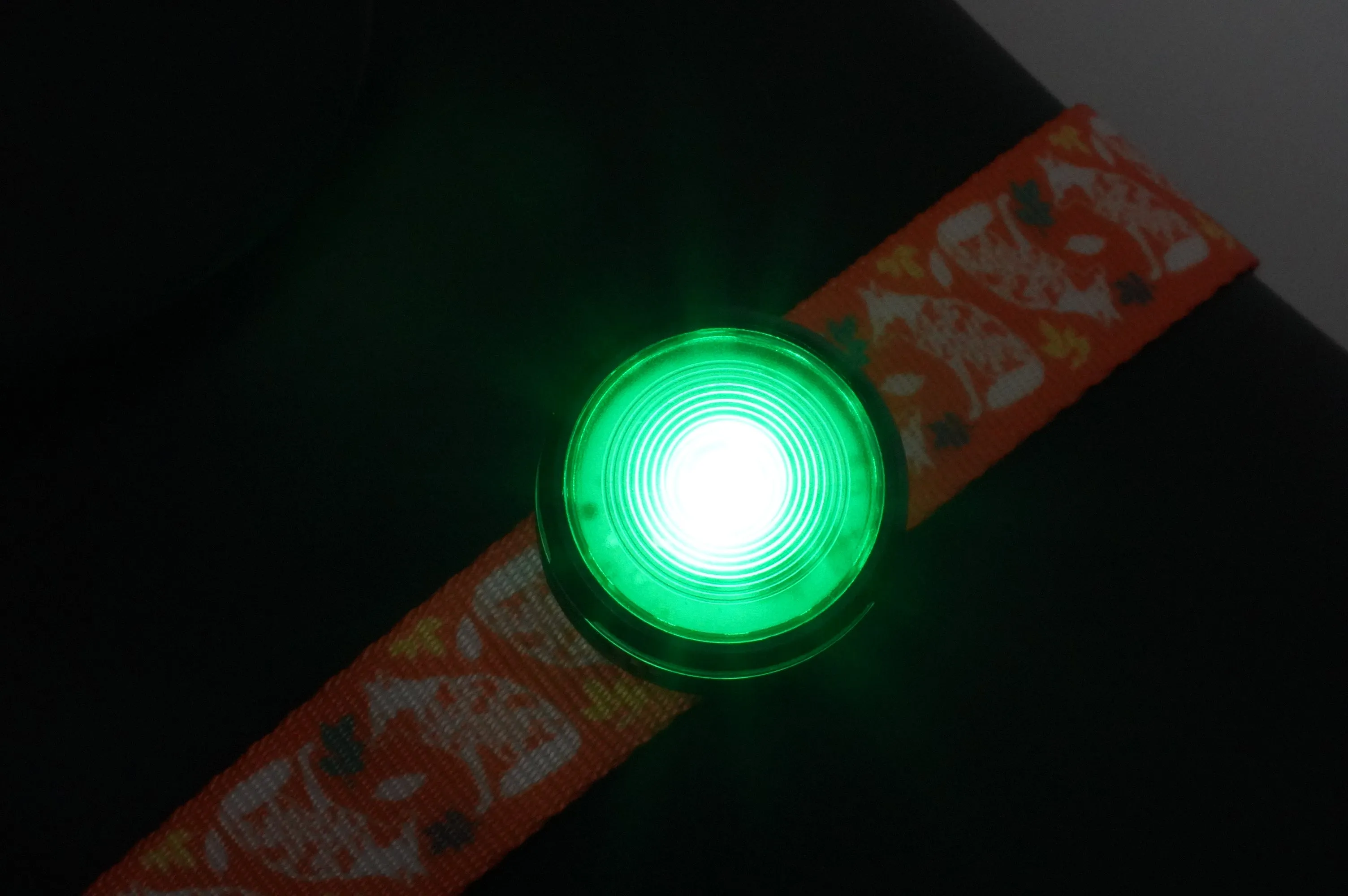 HoundHeadz - Halo Rechargeable Light *Black Friday Offer*