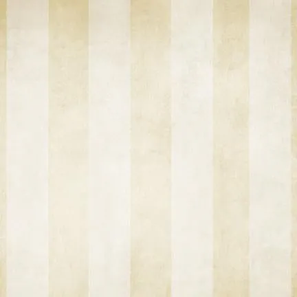 Neutral Stripes