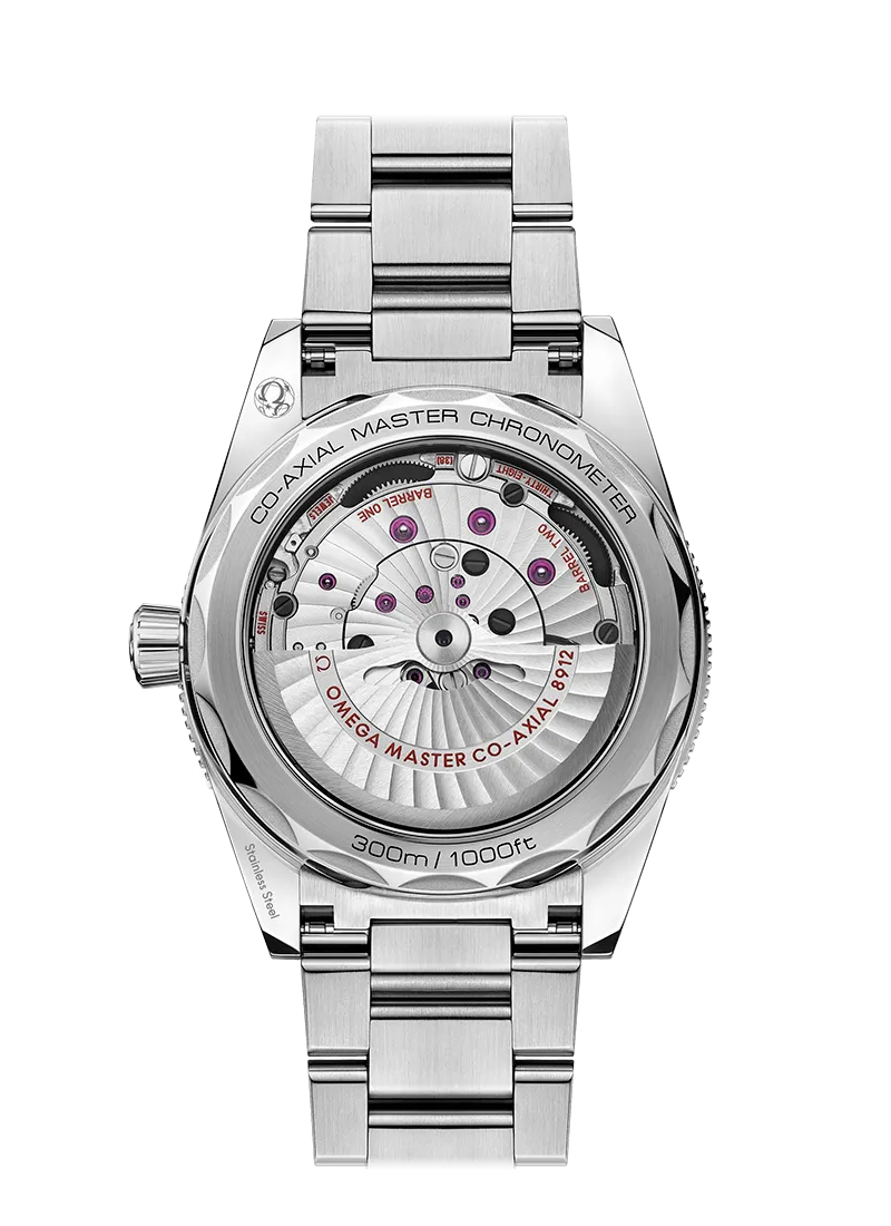Seamaster 300 41mm Master Chronometer