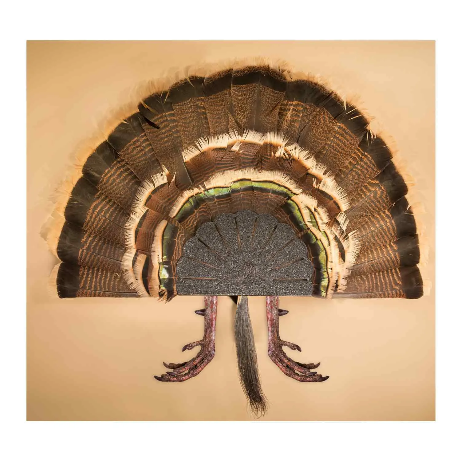 Skull Hooker Turkey Hooker